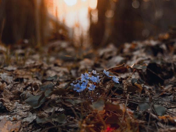 Spending Time In Nature